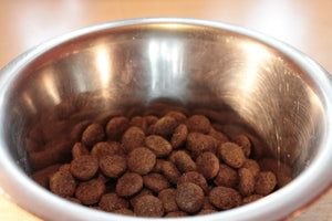 Dog Food and Dog Diet