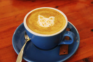 Cat Cafe Petozy